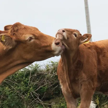 Cuas A' Gamhna * Clynacartan