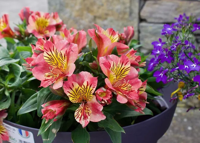 Cuas A' Gamhna Clynacartan